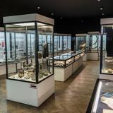 Obrazek: Muzeum Geologiczne Instytutu Nauk Geologicznych PAN Kraków