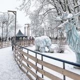 Image: Lodowisko Ice Park Kraków