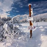 Tabliczki z nazwami szlaków na słupku stojącym na zasypanej śniegiem polanie.
